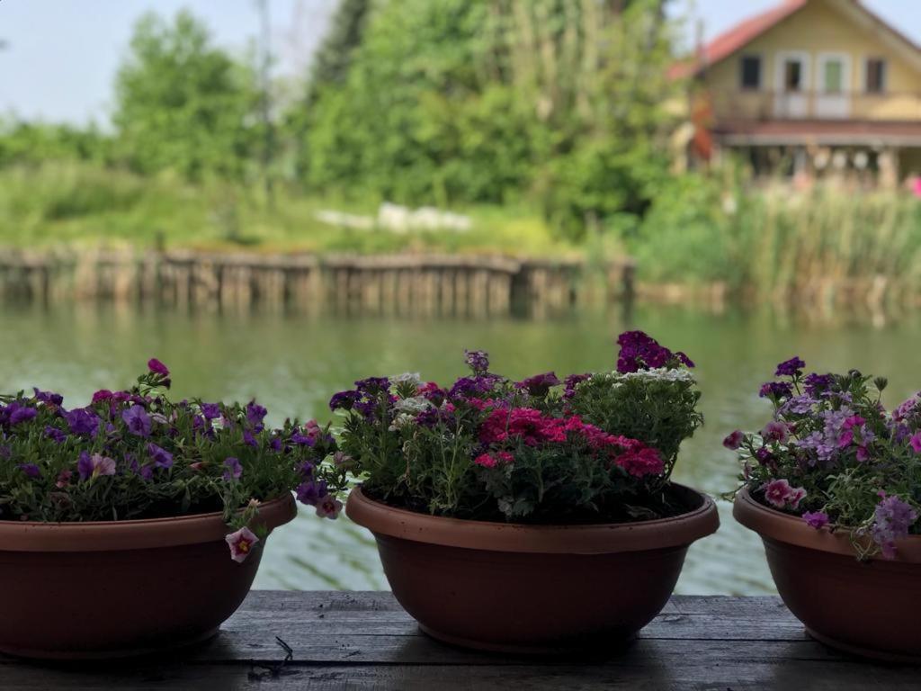 Agva Sweet Home River Hotel Ngoại thất bức ảnh