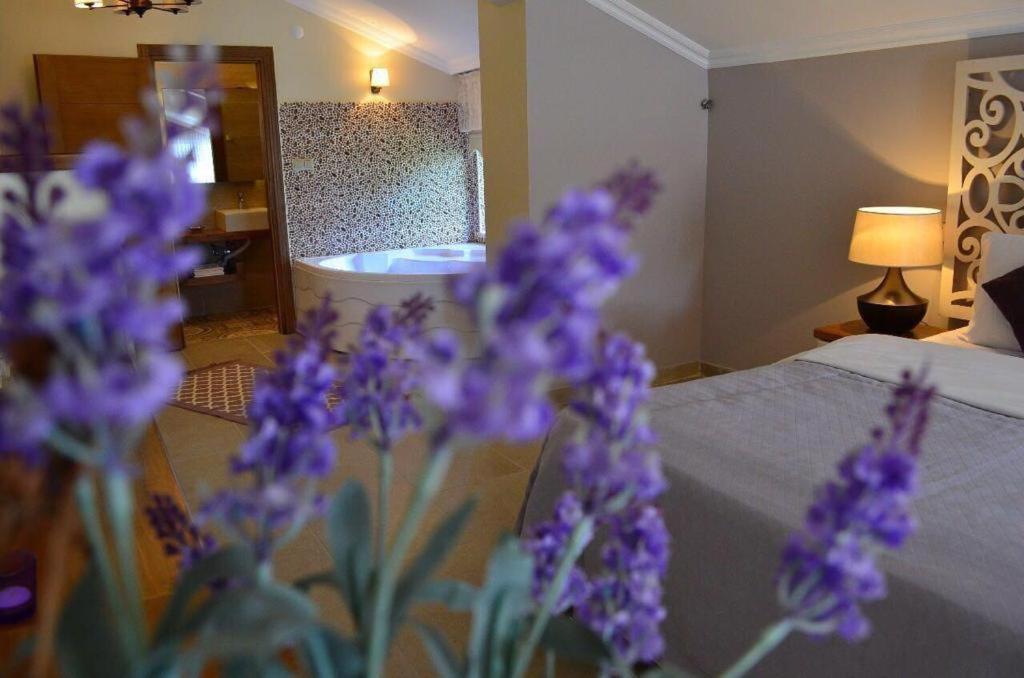Agva Sweet Home River Hotel Ngoại thất bức ảnh